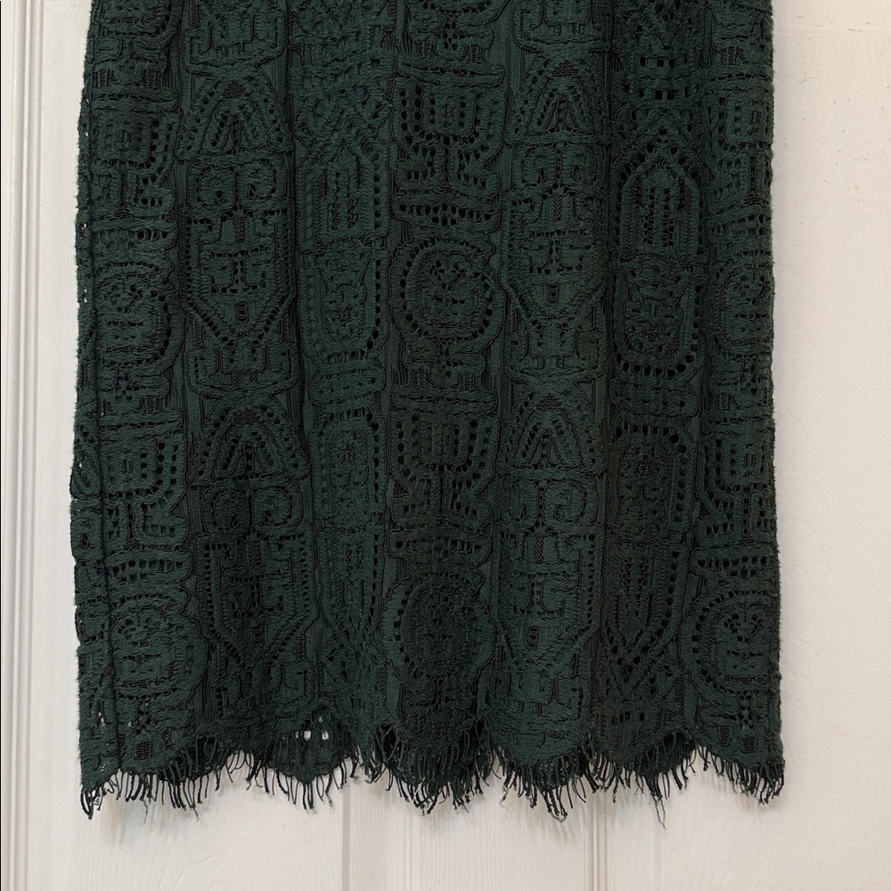 Ann Taylor Lace Pencil Skirt - Picture 2 of 7